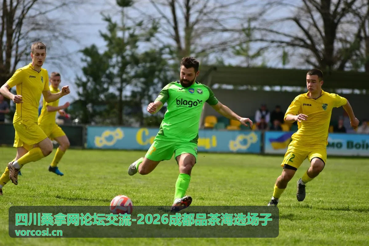 2026成都品茶海选场子-隐巷茶事